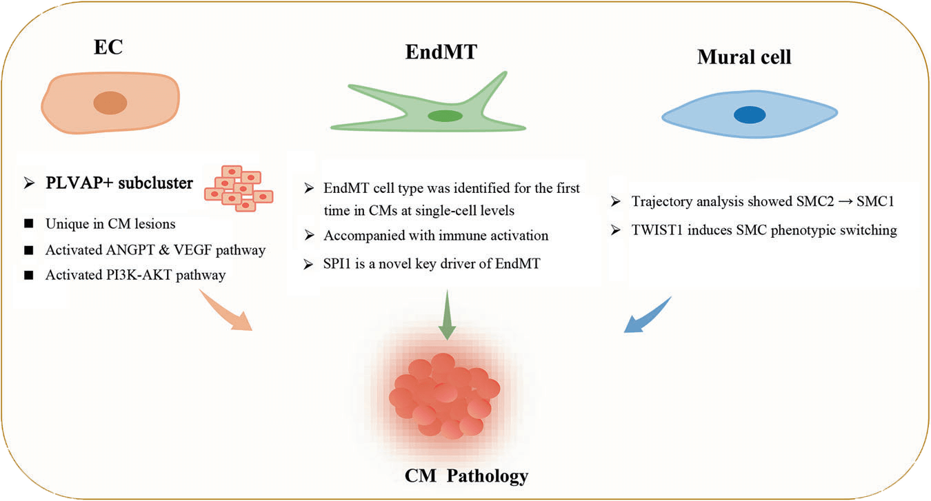 Cavernous Malformations
